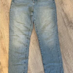 Madewell the perfect vintage jean raebrook wash comfort stretch